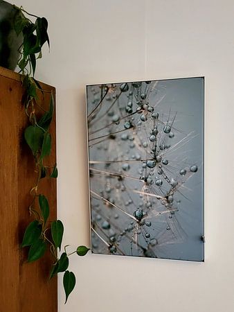 Abstract turquoise: Droplets resting on a fluffy ball