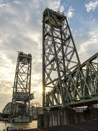 Eisenbahnbrücke Rotterdam