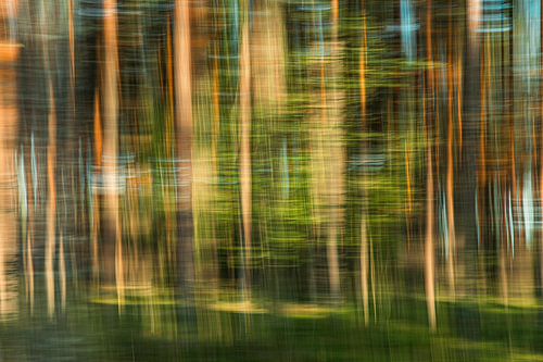 Abstract: Bos ICM