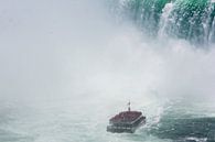 Hornblower-rondvaartboot bij de Niagara watervallen von Stephan Neven Miniaturansicht