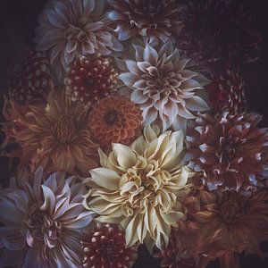 Collection de dahlias aux tons d'automne