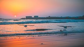 Sonnenuntergang an der Costa de la Luz