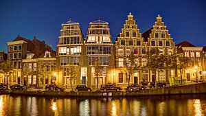 Olifanten aan het Spaarne