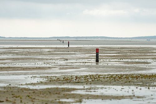 strandpalen op het Groene strand richting Vlieland