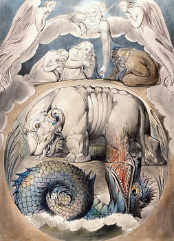 Les animaux à travers le monde