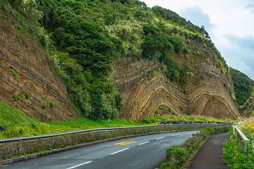 Japon - Ōshima - Baumkuchen sur Remco Bosshard