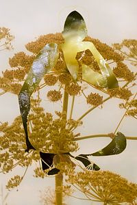 Blume Stoff