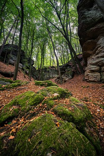 Schluchtwald Mullerthal