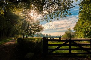 Ein schöner Sommermorgen in Amelisweerd.
