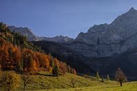 autumn