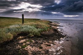 Schiermonnikoog waddenzee by Arjan Boer