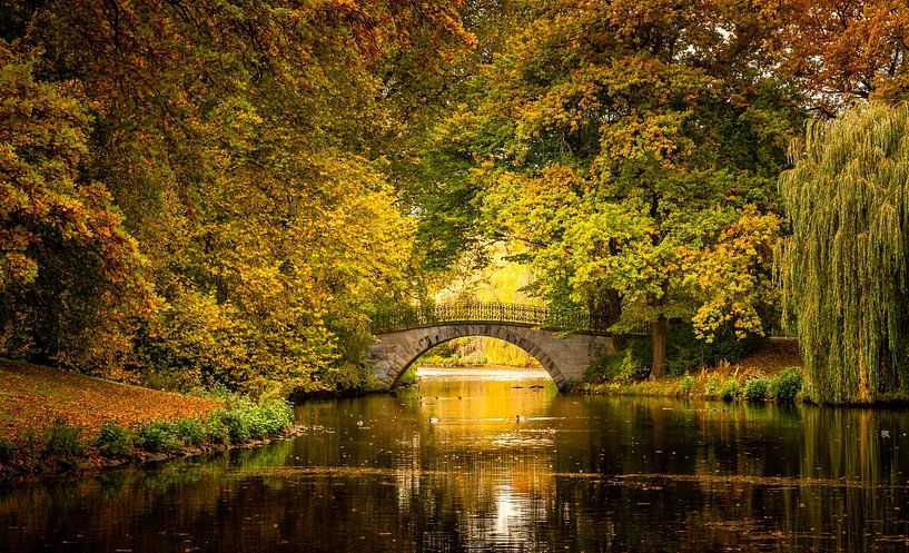 Autumn in Hanover by Steffen Henze