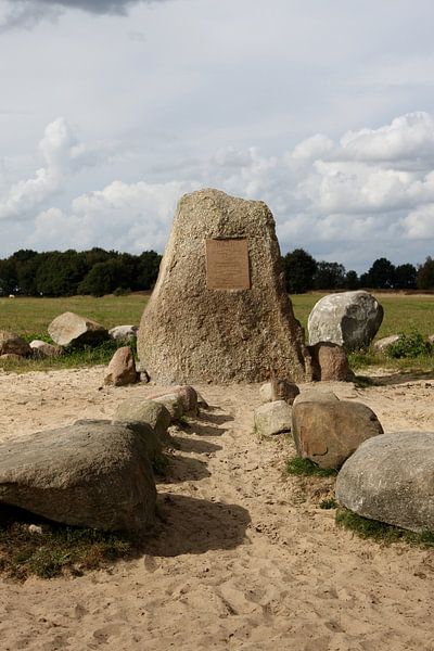 De Baak, Balloërveld. von Anita Moek