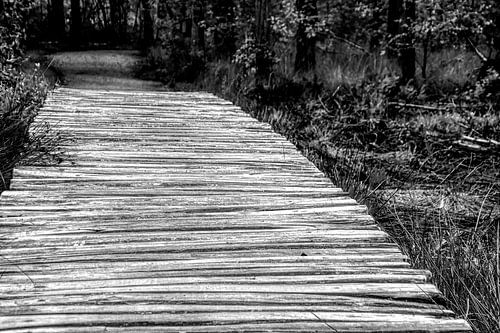 Wandel op je levenspad met een glimlach van een kind