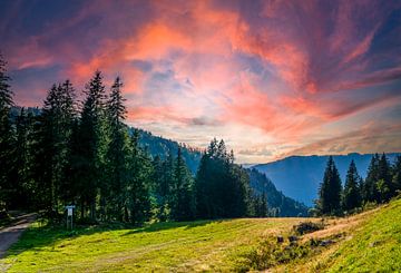 Sonnenuntergang im Schwarzwald in Deutschland von Animaflora PicsStock