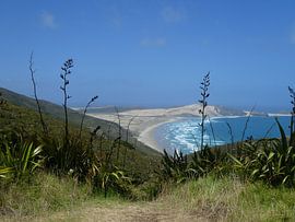 New Zealand, North Island by Anita Tromp