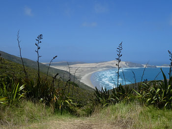 Nouvelle Zélande, Ile du Nord