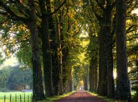 Zondagochtend wandeling