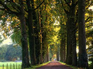 Zondagochtend wandeling sur Pieter Heymeijer