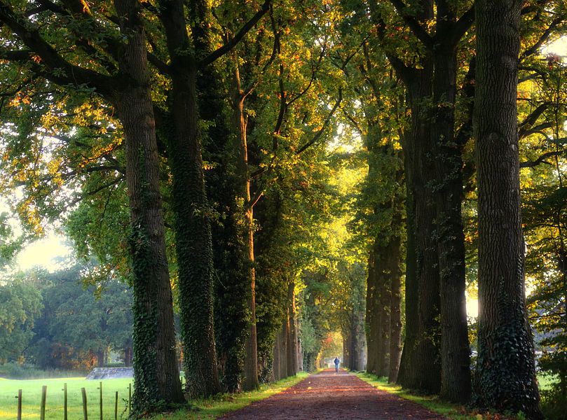 Zondagochtend wandeling by Pieter Heymeijer