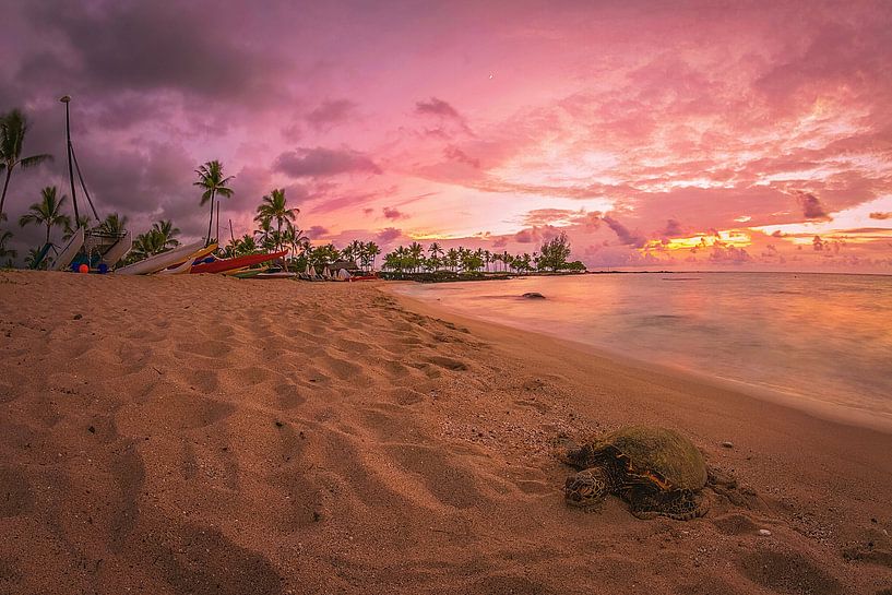 Hawaii by Hello Pompoyo