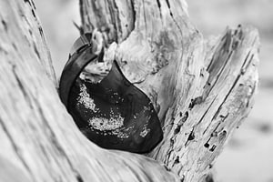 Holz, Scherben und Sand