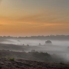 A misty morning with a beautiful sunrise by Sem Scheerder