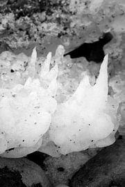 Spikey Ice by Jörg Hausmann