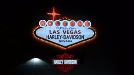 Harley Davidson Las Vegas by Marek Bednarek