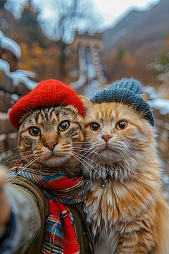 Selfie de chat sur la Grande Muraille - des chats amusants