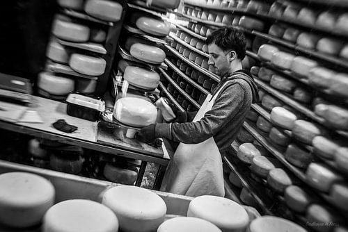 Genneper Hoeve, Eindhoven In Focus