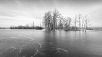 Tusschenwater nature reserve in Black and White by Marga Vroom thumbnail