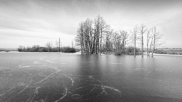 Tusschenwater nature reserve in Black and White by Marga Vroom