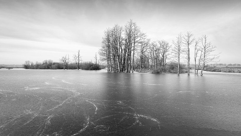 Tusschenwater nature reserve in Black and White by Marga Vroom