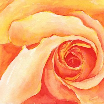 Gelbe Rosenspirale