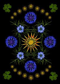 Fleurs dans la conception graphique sur Elles Rijsdijk