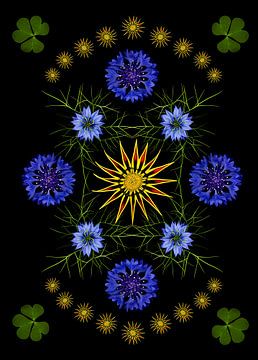 Bloemen in grafische vormgeving van Elles Rijsdijk
