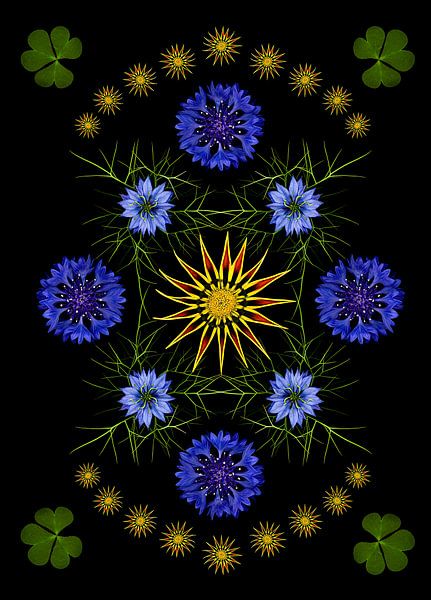 Flowers in graphic design by Elles Rijsdijk