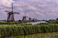 Windmills in Holland van Brian Morgan thumbnail