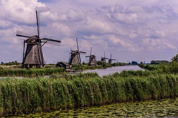 Windmills in Holland van Brian Morgan