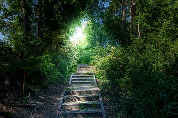 l'escalier vers le ciel sur it's a Boone thing