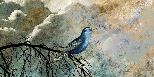 HEAVENLY BIRD IIc panorama