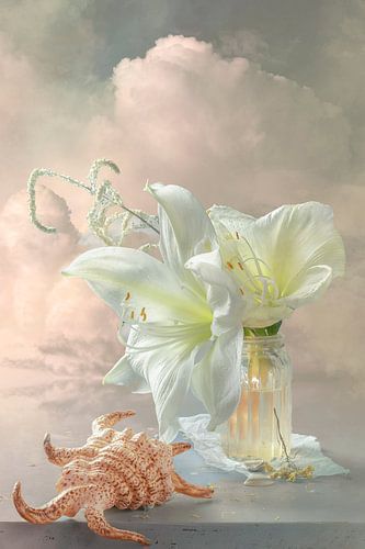 Stillleben "Zwischen Himmel und Erde X