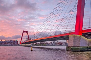 Willemsbrug bij zonsopkomst van Frans Blok