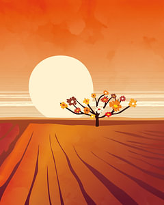 Ein blühender Baum bei Sonnenuntergang