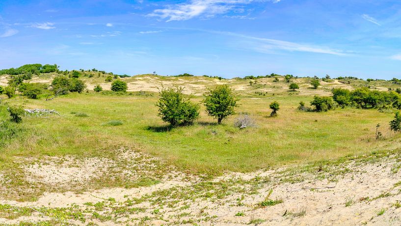 Wide view of the dune in the Kennemer Dunes by eric van der eijk