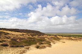 Vaste plaine de dunes – Sous le ciel bleu de la mer du Nord – Photographie sur Nordlicht Atelier
