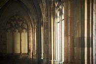 Domtuin, Utrecht by André Bouterse thumbnail