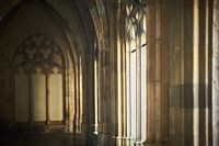 Domtuin, Utrecht