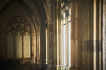 Domtuin, Utrecht